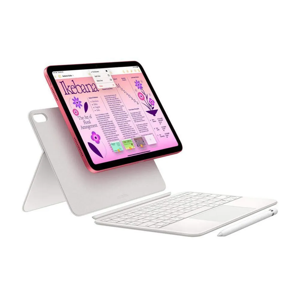 Apple iPad (2022) Wi-Fi 256Gb (Silver)