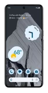 фото Google Pixel 8 Pro 12/256Gb (Obsidian), Google