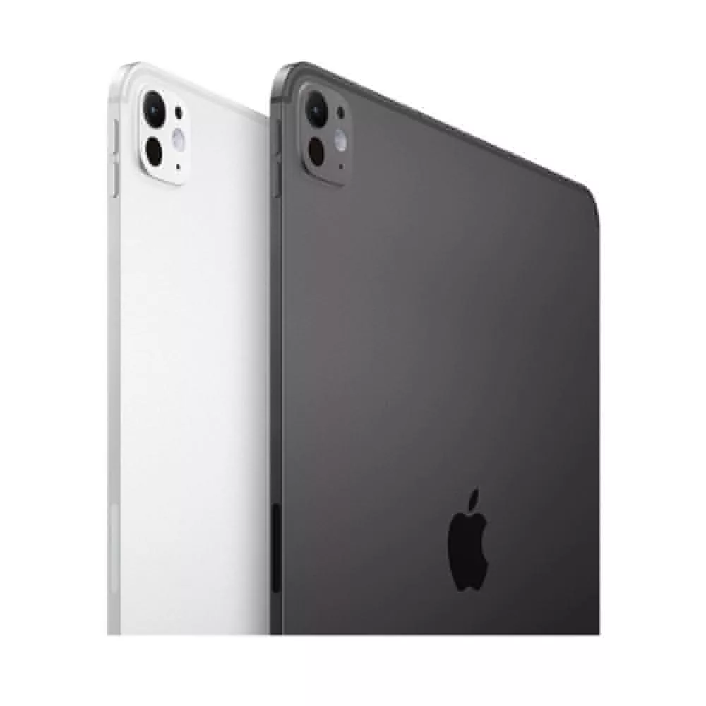 Apple iPad Pro 11 (2024) 512Gb Wi-Fi + Cellular with Standard glass (Silver)