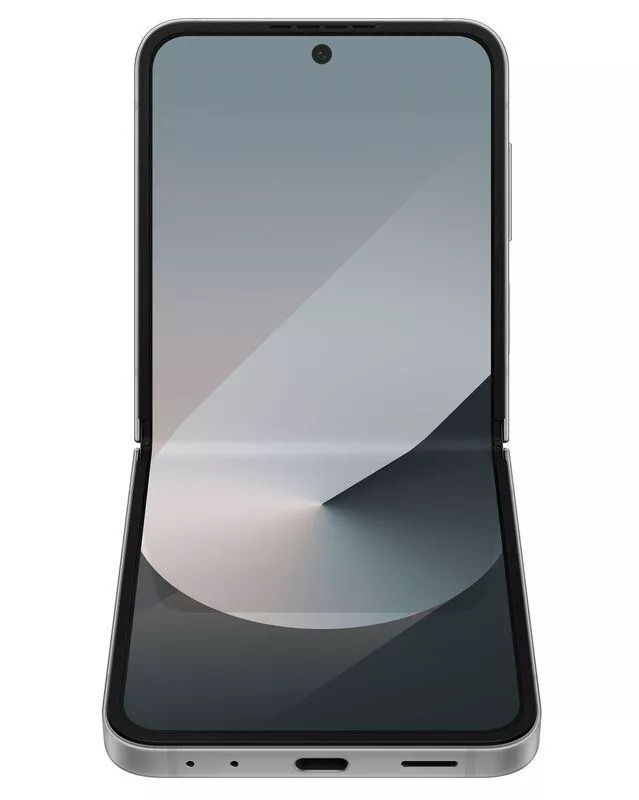 фото Samsung Galaxy Z Flip6 12/512Gb (Silver Shadow), Samsung