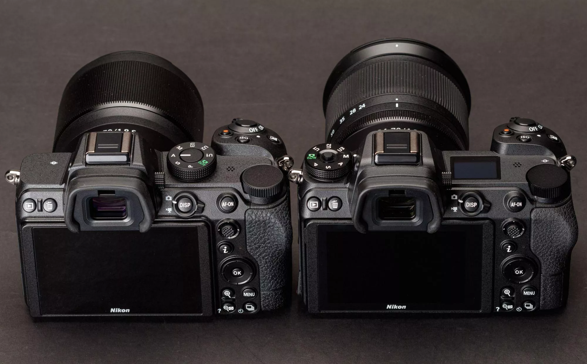 Nikon Z5 для начинающих: первая беззеркалка — честный обзор | Device365 — Device365
