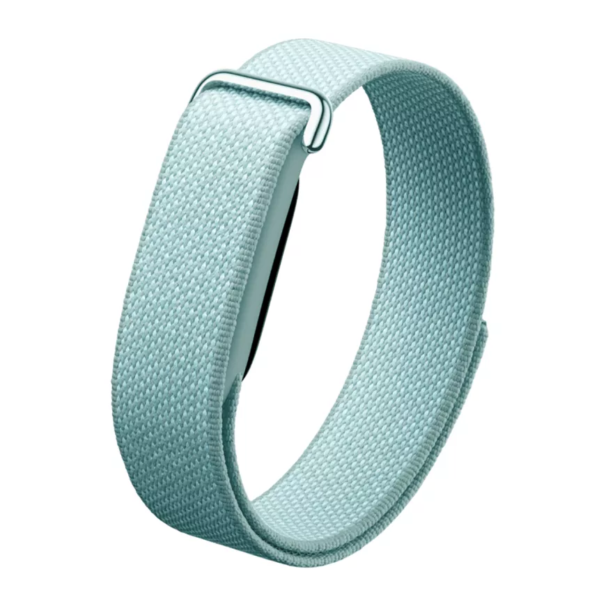 фото Фитнес-браслет Google Fitbit Air (Fog)