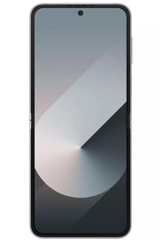 фото Samsung Galaxy Z Flip6 12/512Gb (Silver Shadow), Samsung