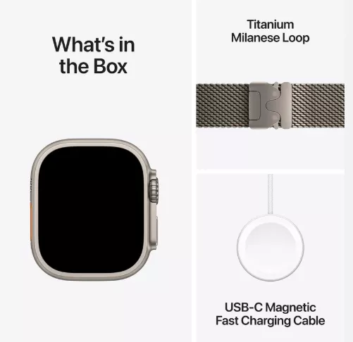 Apple Watch Ultra 2 (2024) 49mm Natural Titanium Case with Natural Titanium Milanese Loop (L)