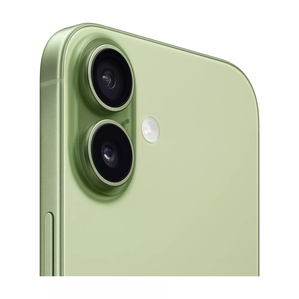 Apple iPhone 17 256Gb (Sage)
