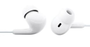 Наушники Xiaomi Type-C Earphones (белый) (M2413E1)