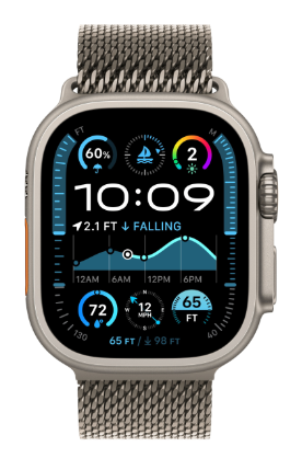 Apple Watch Ultra 2 (2024) 49mm Natural Titanium Case with Natural Titanium Milanese Loop (M)