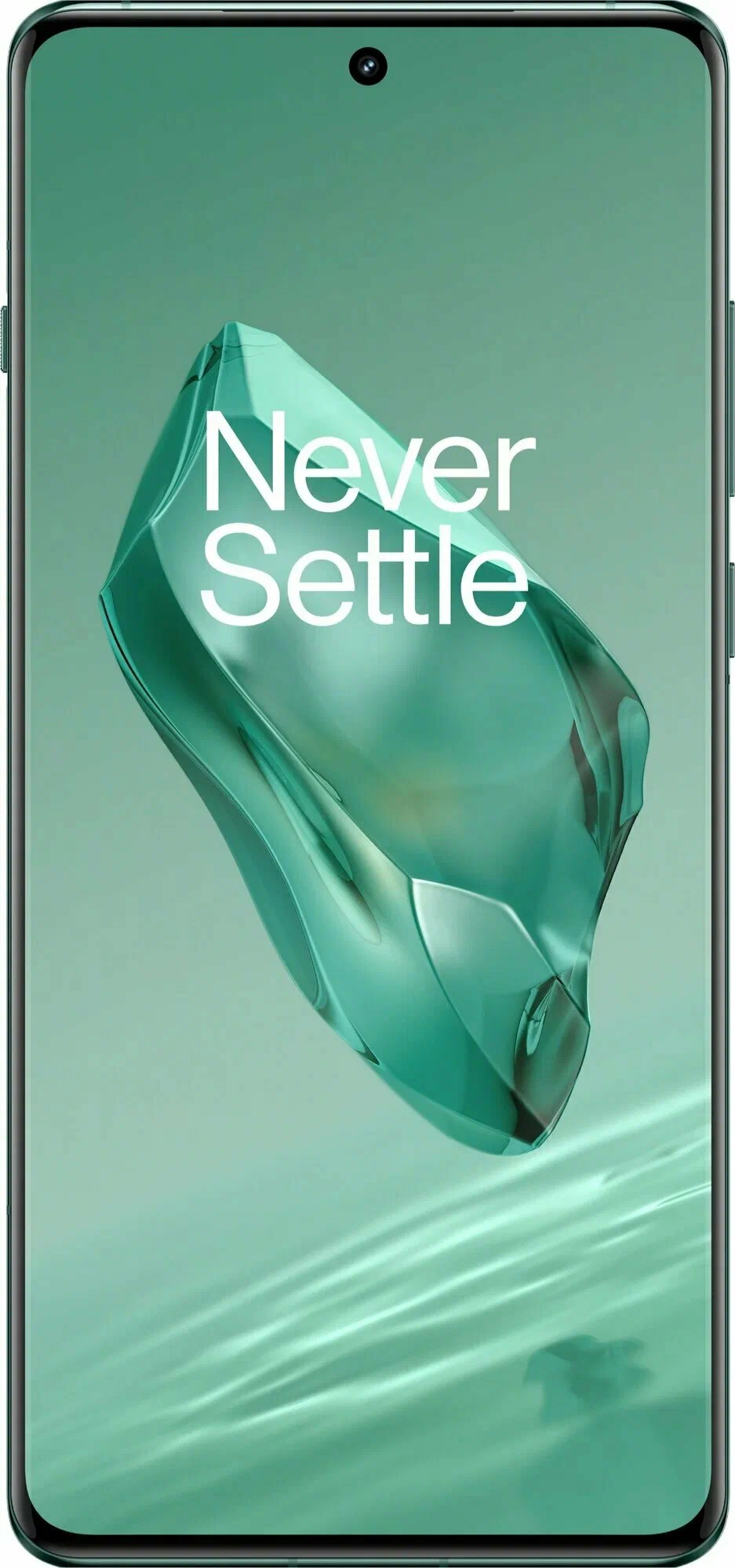 фото OnePlus 12 12/256Gb (Flowy Emerald), OnePlus