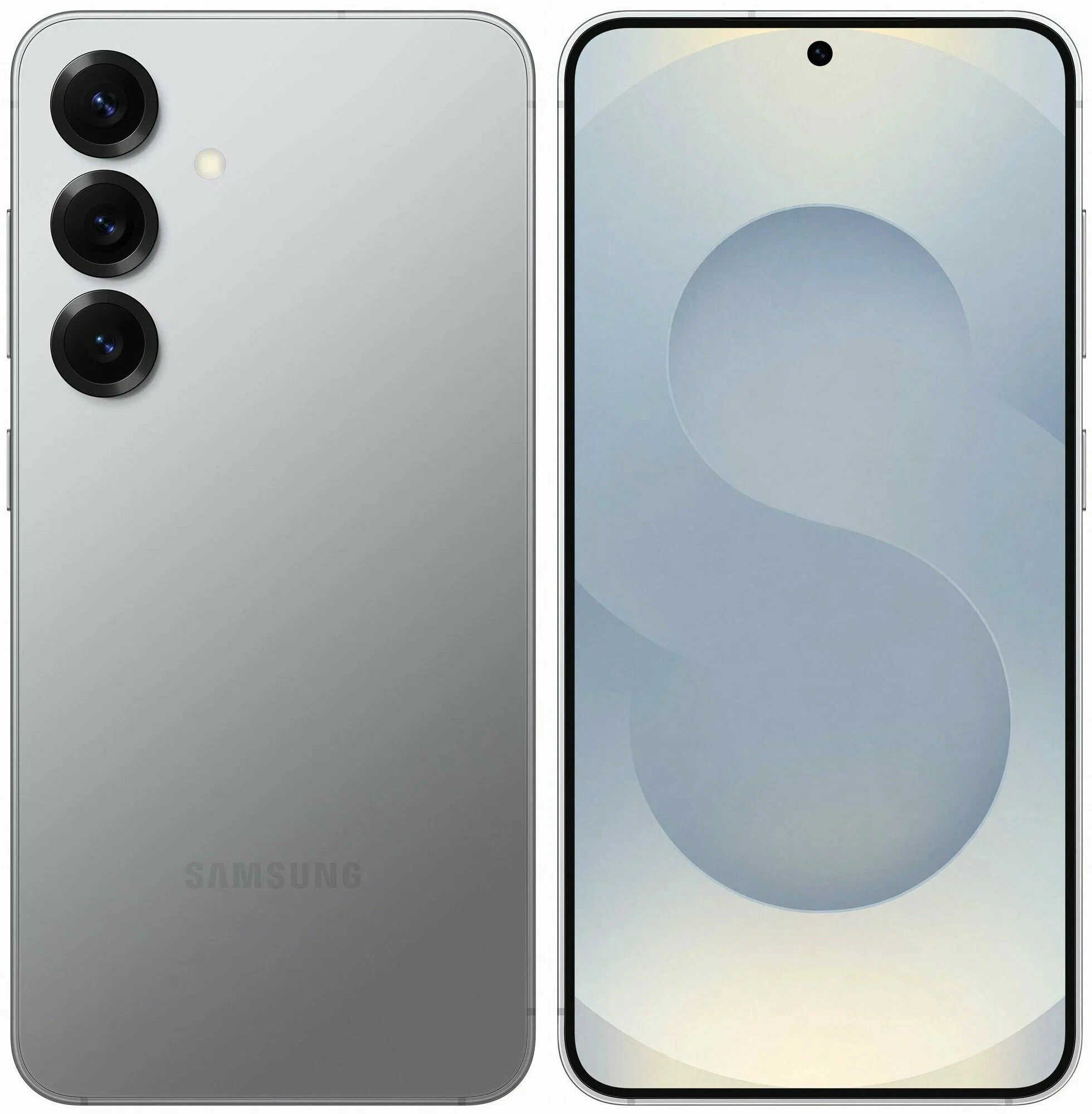 фото Samsung Galaxy S25 12/256Gb (SM-S9310) (Silver Shadow), Samsung