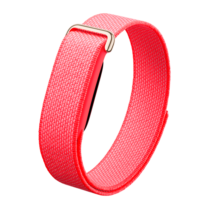 фото Фитнес-браслет Google Fitbit Air (Berry)