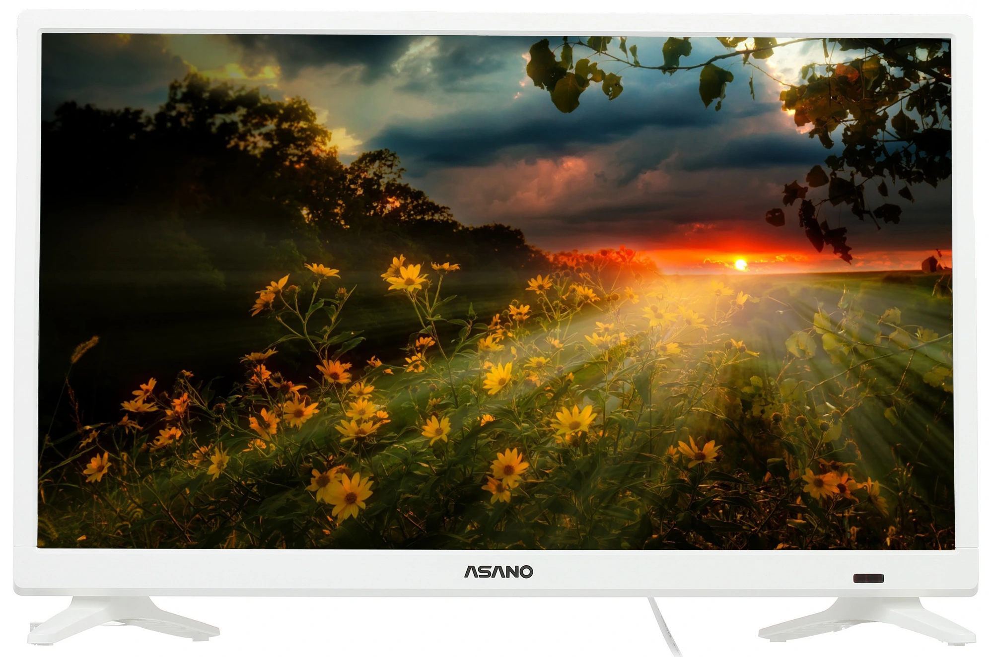 Телевизор Asano 24LH1011T, 24", LED HD, 60 Гц, белый