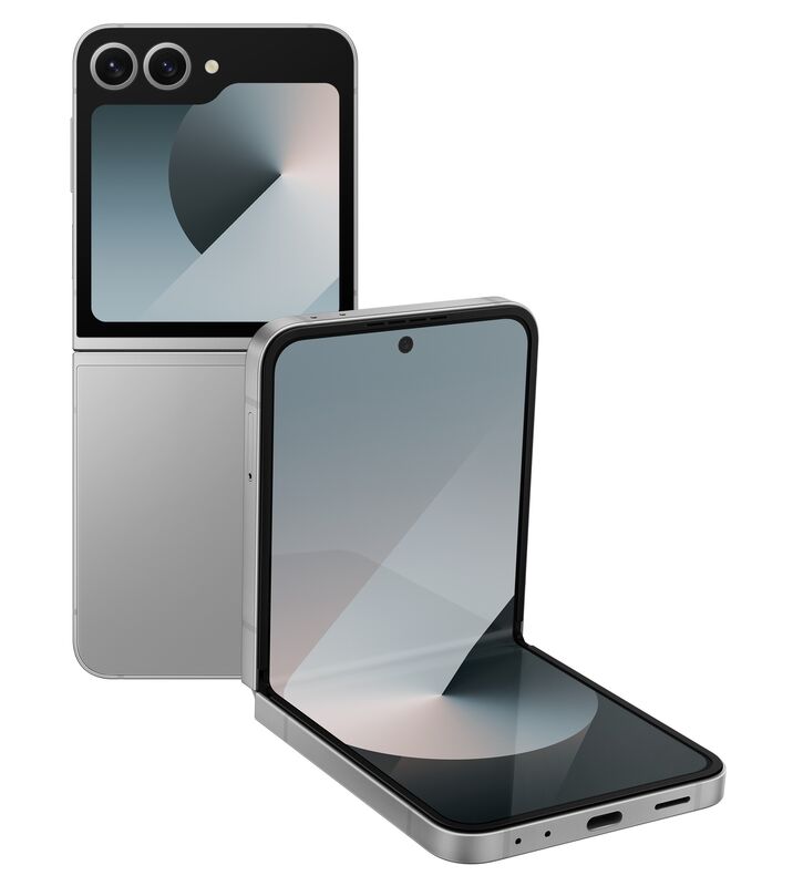 фото Samsung Galaxy Z Flip6 12/512Gb (Silver Shadow), Samsung