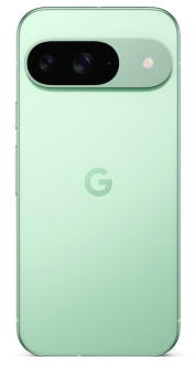 фото Google Pixel 9 5G 12/256Gb (Wintergreen), Google