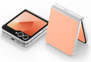 фото Samsung Galaxy Z Flip6 12/512Gb (Peach), Samsung