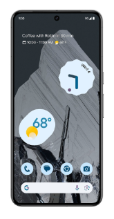 фото Google Pixel 8 Pro 12/256Gb (Obsidian), Google