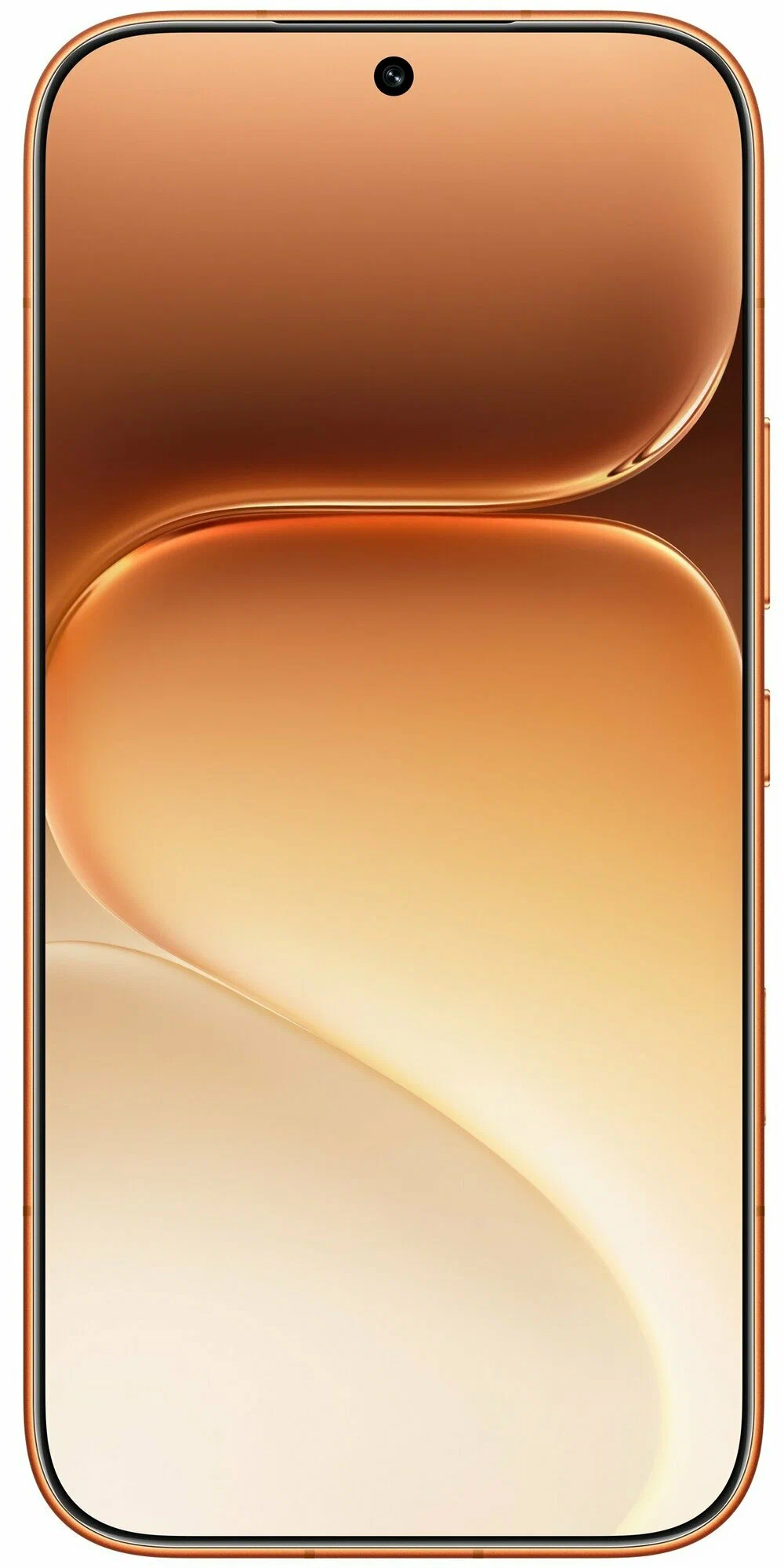 фото Honor 600 12/256Gb (Orange), Honor