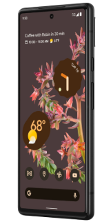 фото Google Pixel 6 8/256Gb (Stormy Black), Google