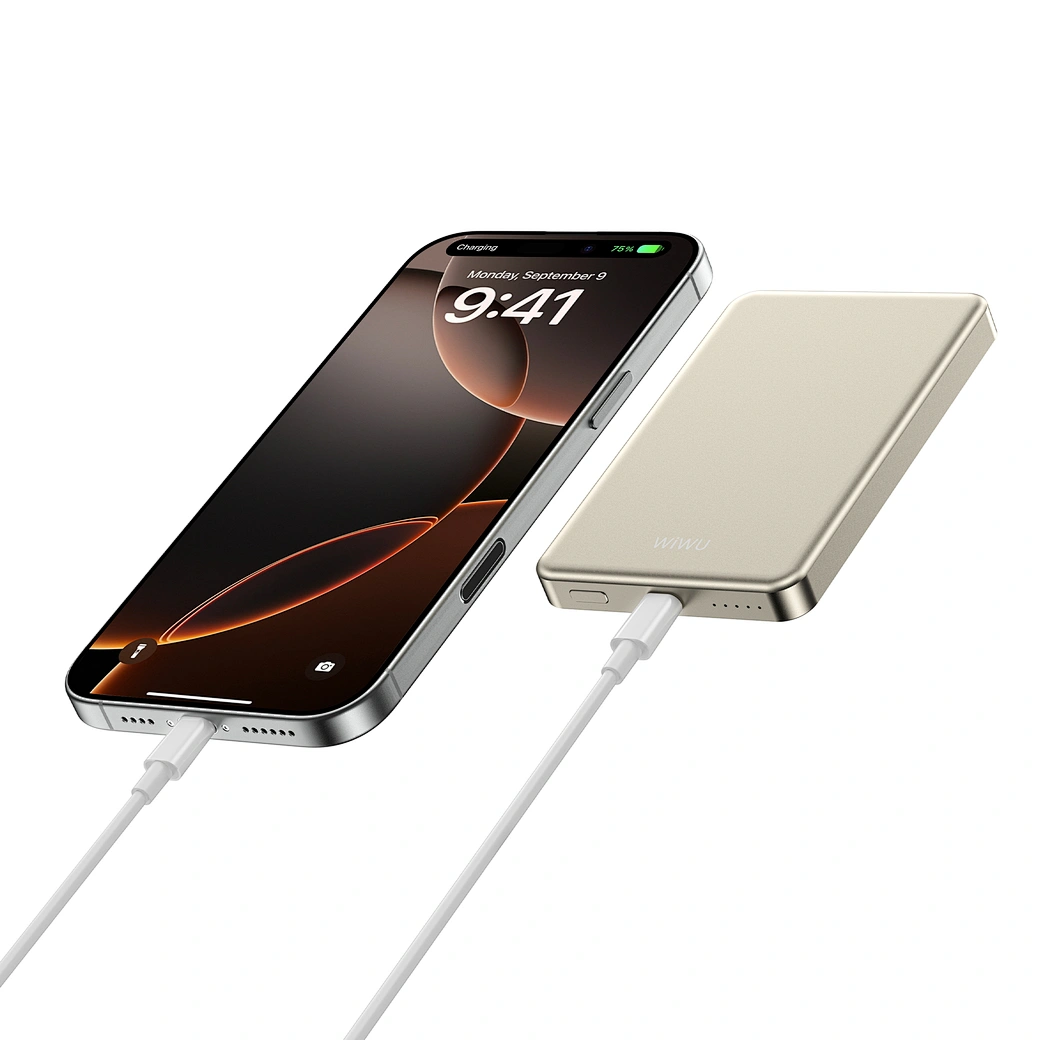 фото Внешний аккумулятор WiWU Ultra Thin Magnetic 5000 mAh 20W (P15) (золотой)