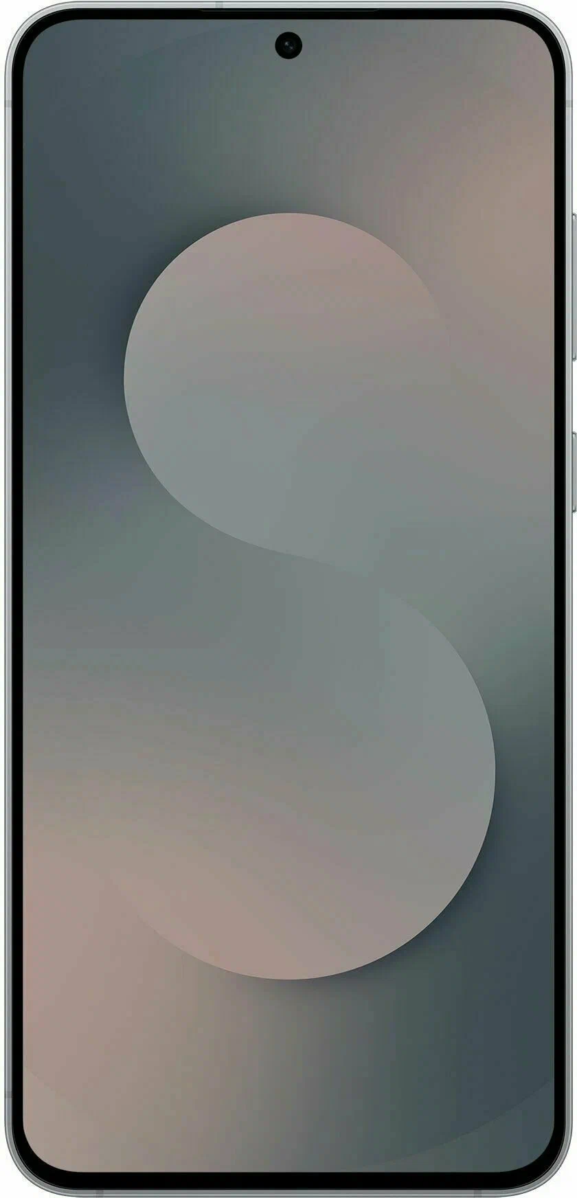 фото Samsung Galaxy S25 FE 8/256Gb (Черный) (SM-S731BZKCCAU), Samsung