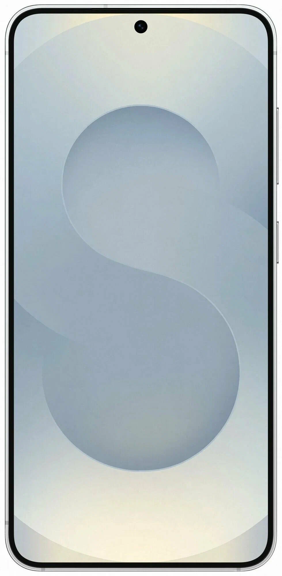 фото Samsung Galaxy S25 12/256Gb (SM-S9310) (Silver Shadow), Samsung