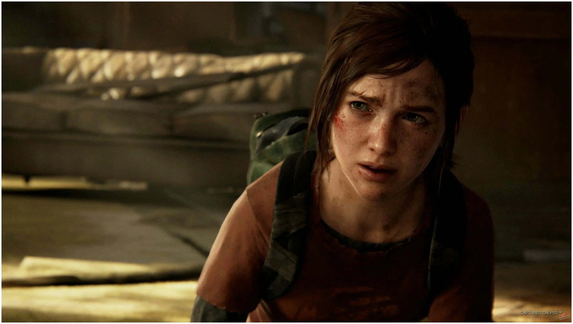 Игра The Last of Us Part 1 (I) (PS5) (русская версия) 