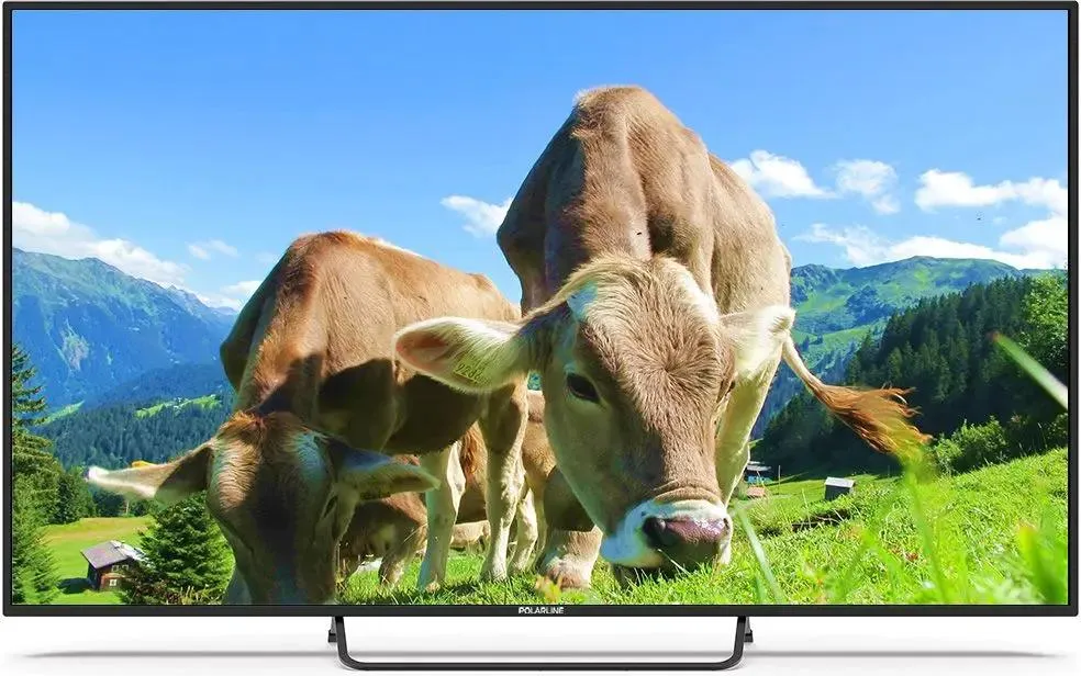 Телевизор Polarline 65PU51TC-SM, 65", LED 4K UHD, 60 Гц, Smart TV