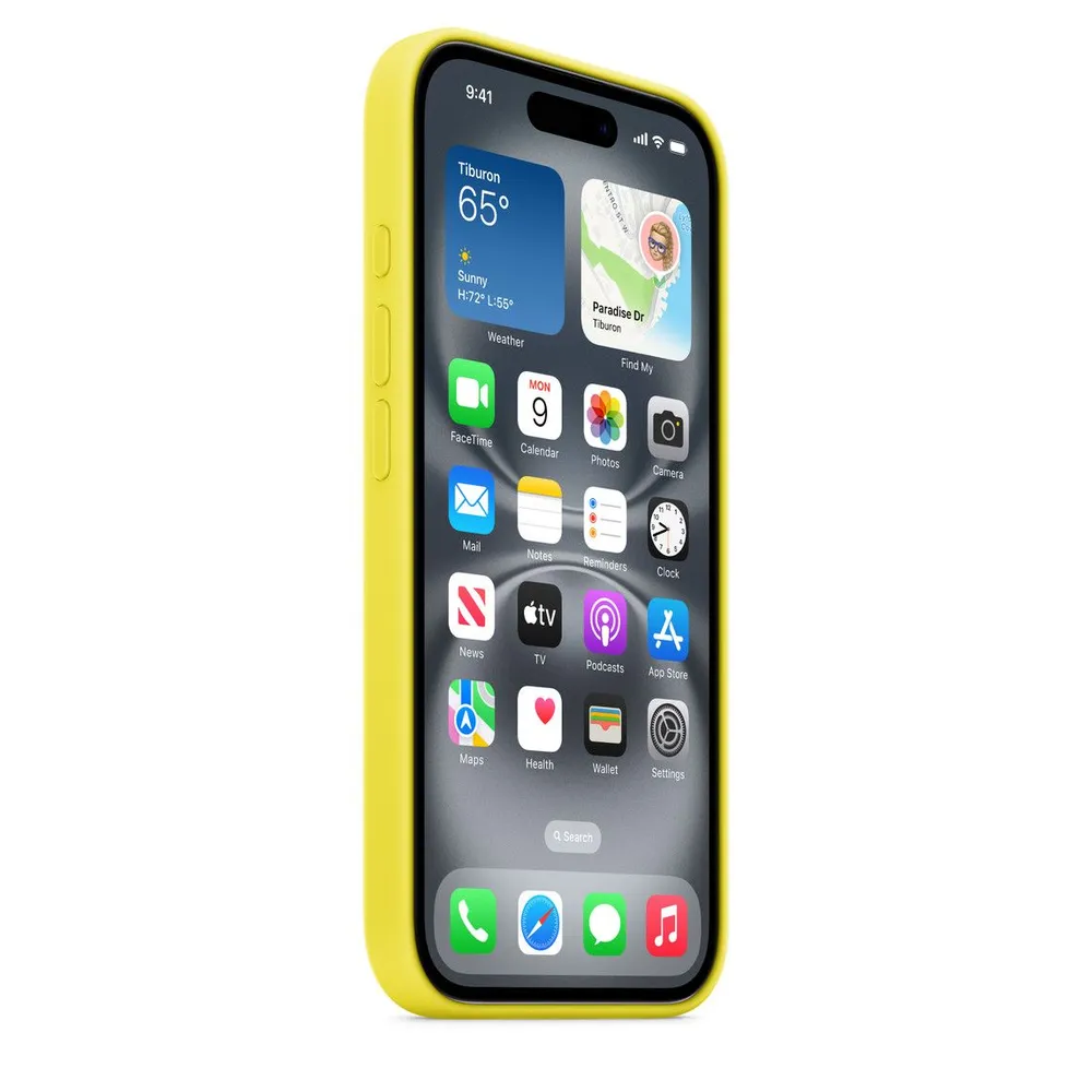 фото Чехол-накладка Silicone Case with MagSafe для iPhone 16 (Star Fruit)