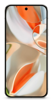 фото Google Pixel 9 Pro 16/256Gb (Porcelain), Google