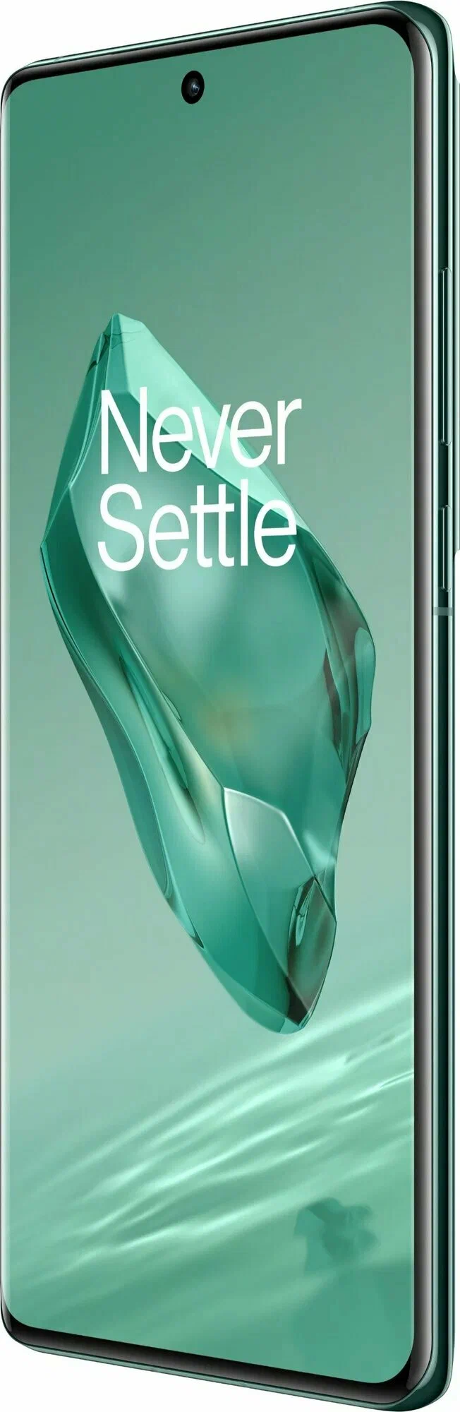 фото OnePlus 12 12/256Gb (Flowy Emerald), OnePlus