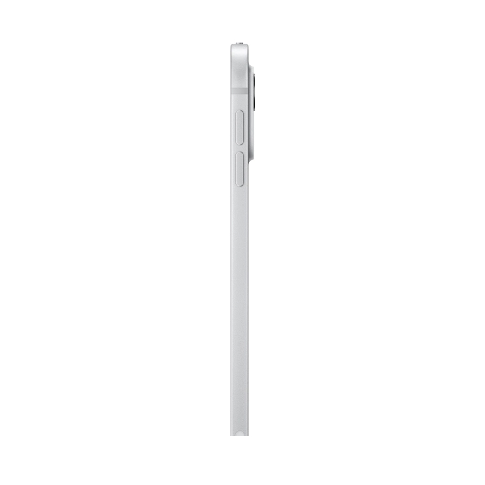 Apple iPad Pro 11 (2024) 1Tb Wi-Fi with Standard glass (Silver)
