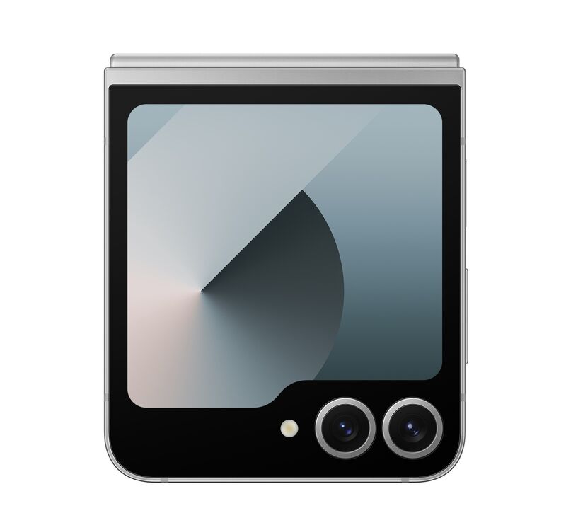 фото Samsung Galaxy Z Flip6 12/512Gb (Silver Shadow), Samsung