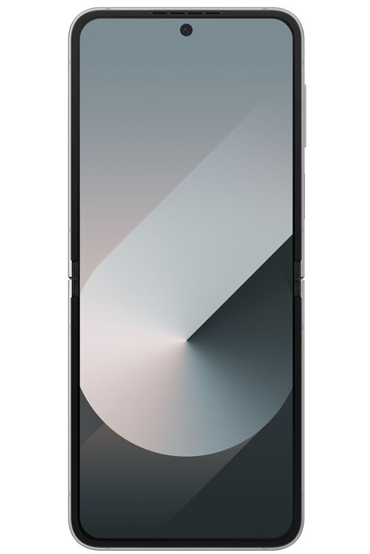 фото Samsung Galaxy Z Flip6 12/512Gb (Silver Shadow), Samsung