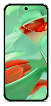 фото Google Pixel 9 5G 12/256Gb (Wintergreen), Google