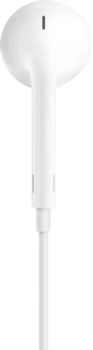 фото Гарнитура Apple EarPods A3046 USB Type-C (MTJY3) (белый)