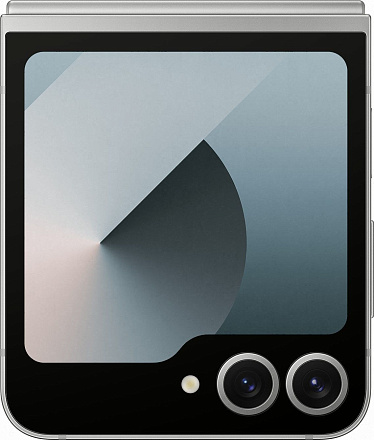 фото Samsung Galaxy Z Flip6 12/256Gb (Silver Shadow), Samsung