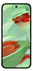 фото Google Pixel 9 5G 12/128Gb (Wintergreen), Google