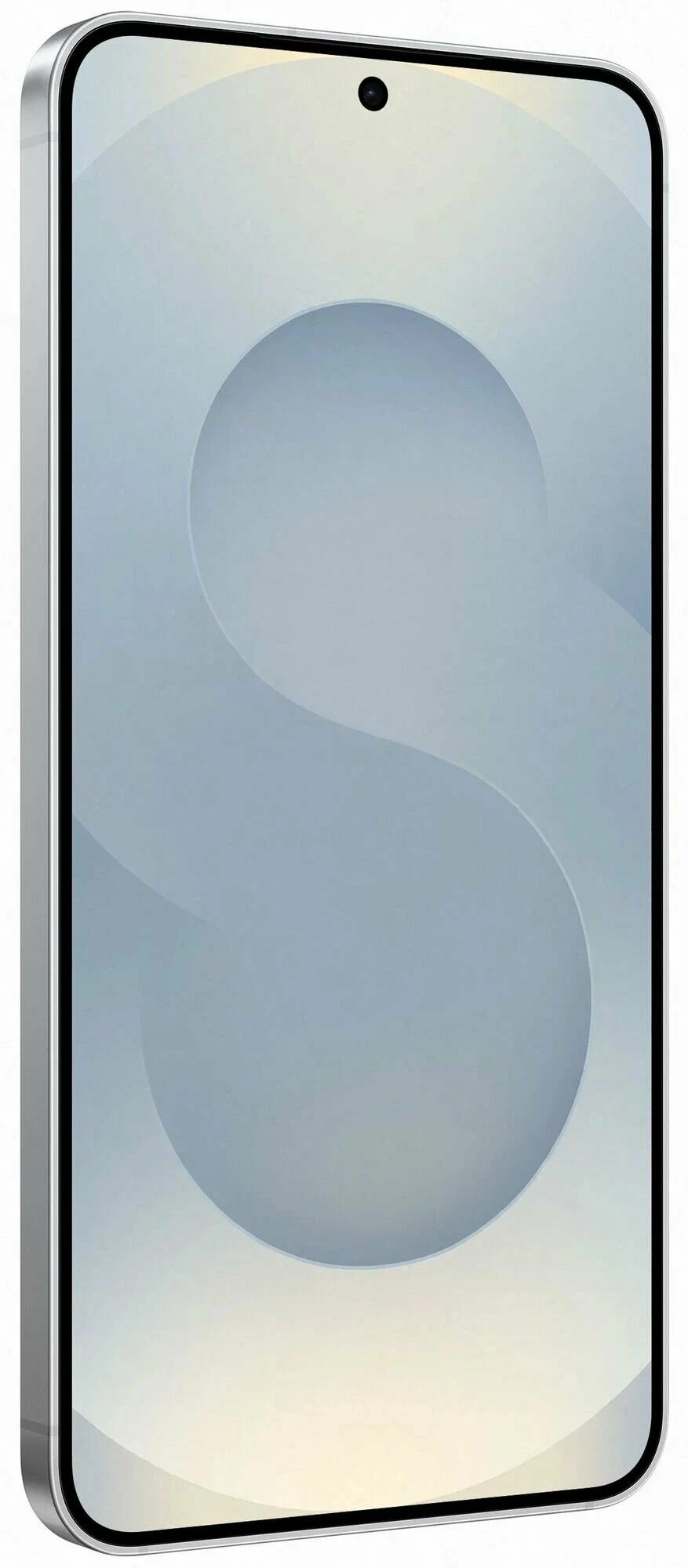 фото Samsung Galaxy S25 12/256Gb (SM-S9310) (Silver Shadow), Samsung