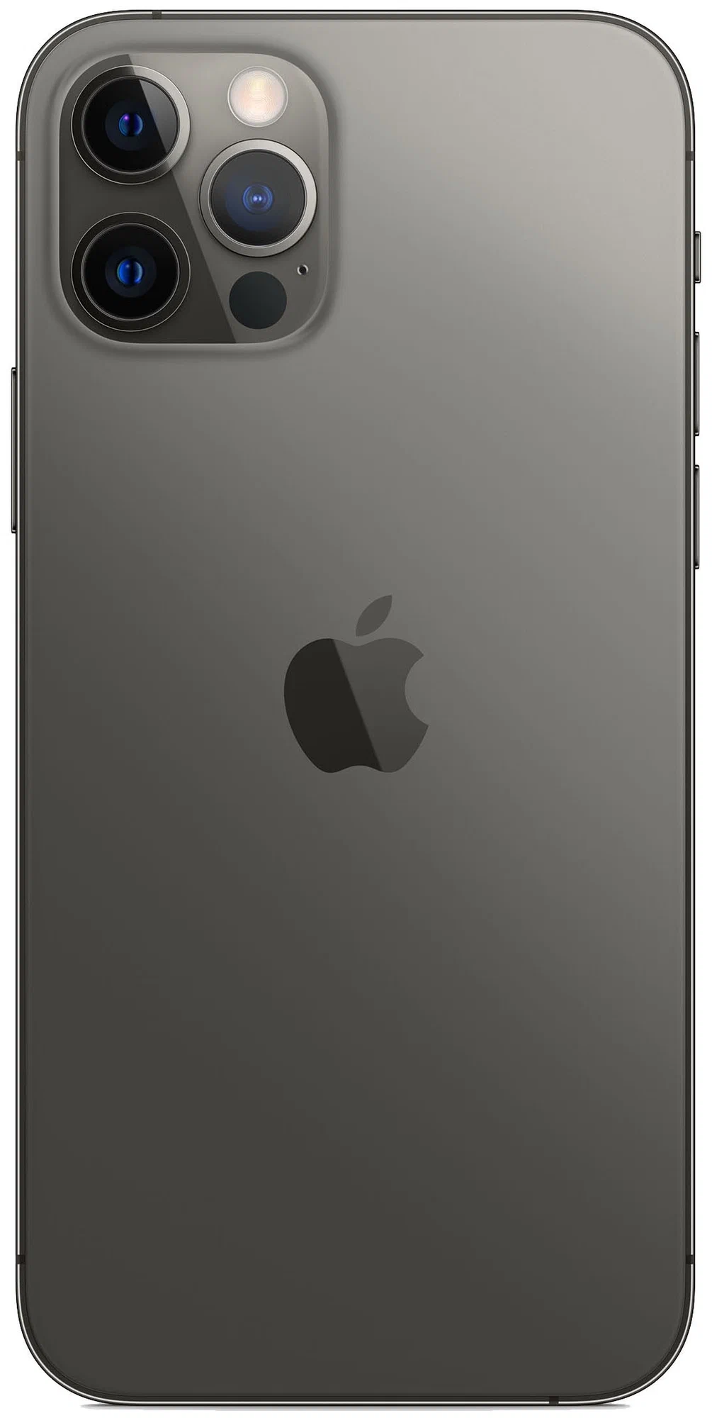 Apple iPhone 12 Pro Max 256Gb (Graphite) (MGDC3RU/A) — фото 3
