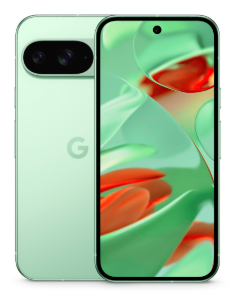 фото Google Pixel 9 5G 12/256Gb (Wintergreen), Google