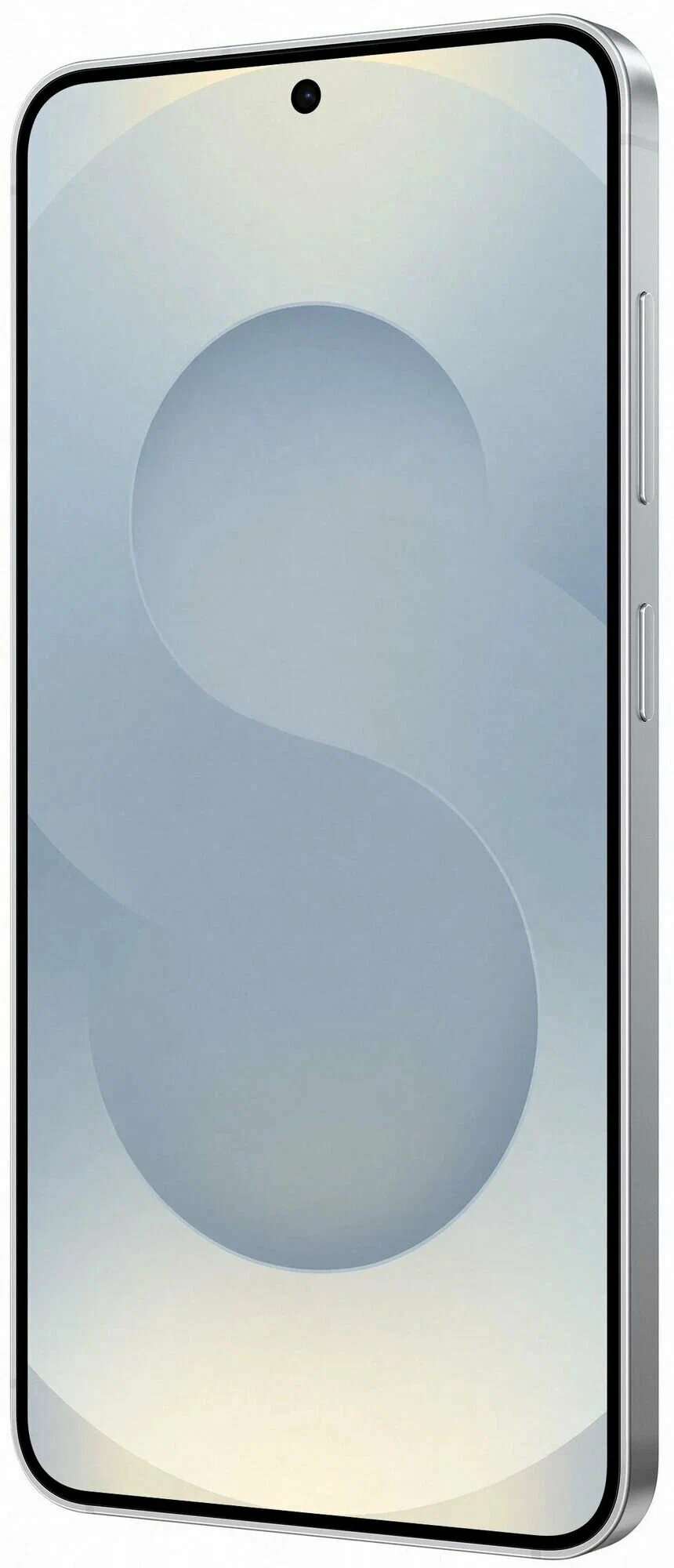 фото Samsung Galaxy S25 12/256Gb (SM-S9310) (Silver Shadow), Samsung