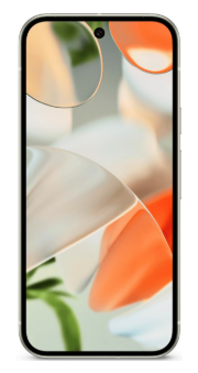фото Google Pixel 9 5G 12/256Gb (Porcelain), Google