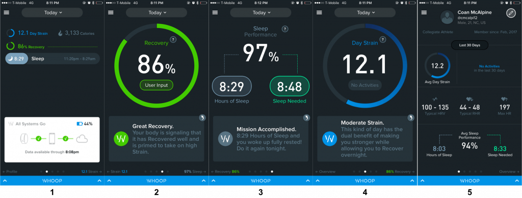 Whoop13-1.png
